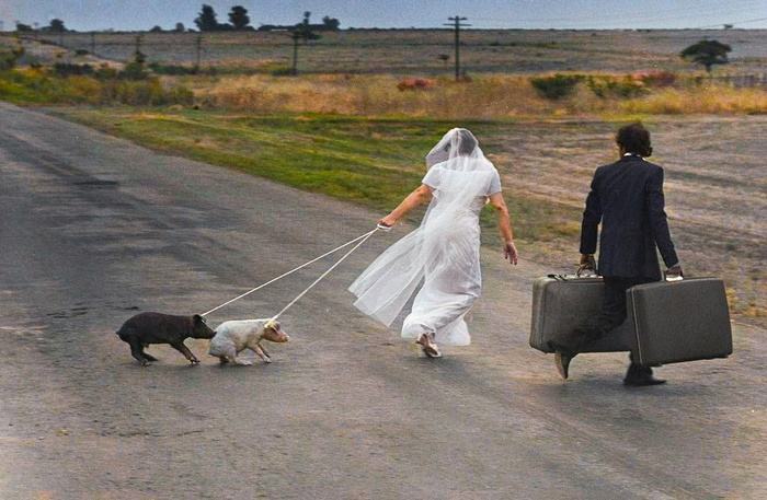 Подборка фотографий из прошлого, которые заставляют удивиться. 20 раскрашенных фотографий из XIX-ХХ века. Часть XI Историческое фото, Старое фото, Фотография, Колоризация, 19 век, 20 век, Длиннопост Подборка фотографий из прошлого, которые заставляют удивиться. 20 раскрашенных фотографий из XIX-ХХ века. Часть XI Историческое фото, Старое фото, Фотография, Колоризация, 19 век, 20 век, Длиннопост