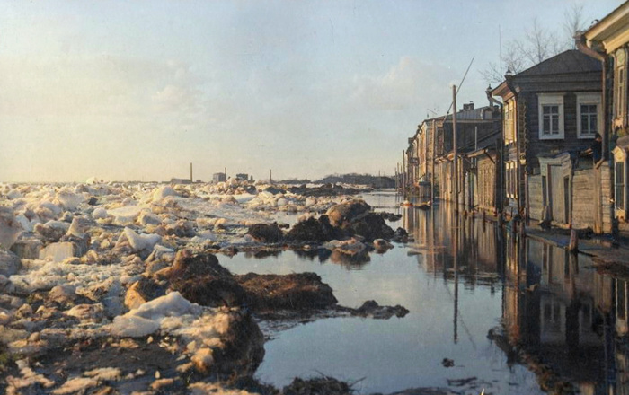 Автор: Селиванов Николай Флегонтович