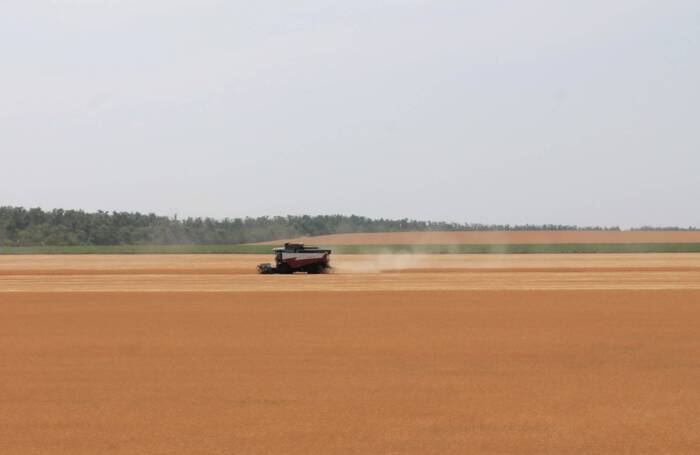 Solo for the Master - My, The photo, Field, Combine harvesters, Harvesting equipment, Craftsmanship, Rostov region, Сельское хозяйство