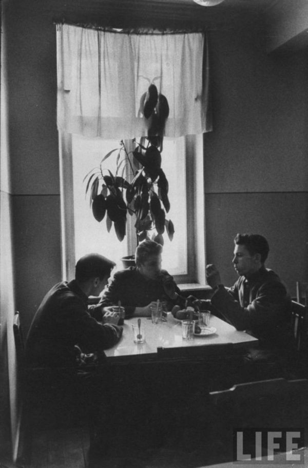 ���� �� ���� ������ ������ �������, ��� �� ���� �����