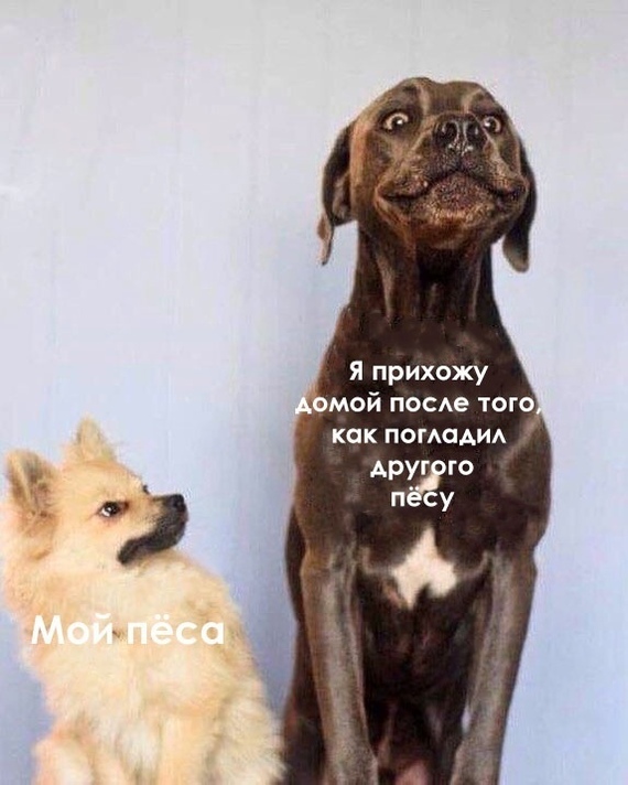 Кто-то явно недоволен...