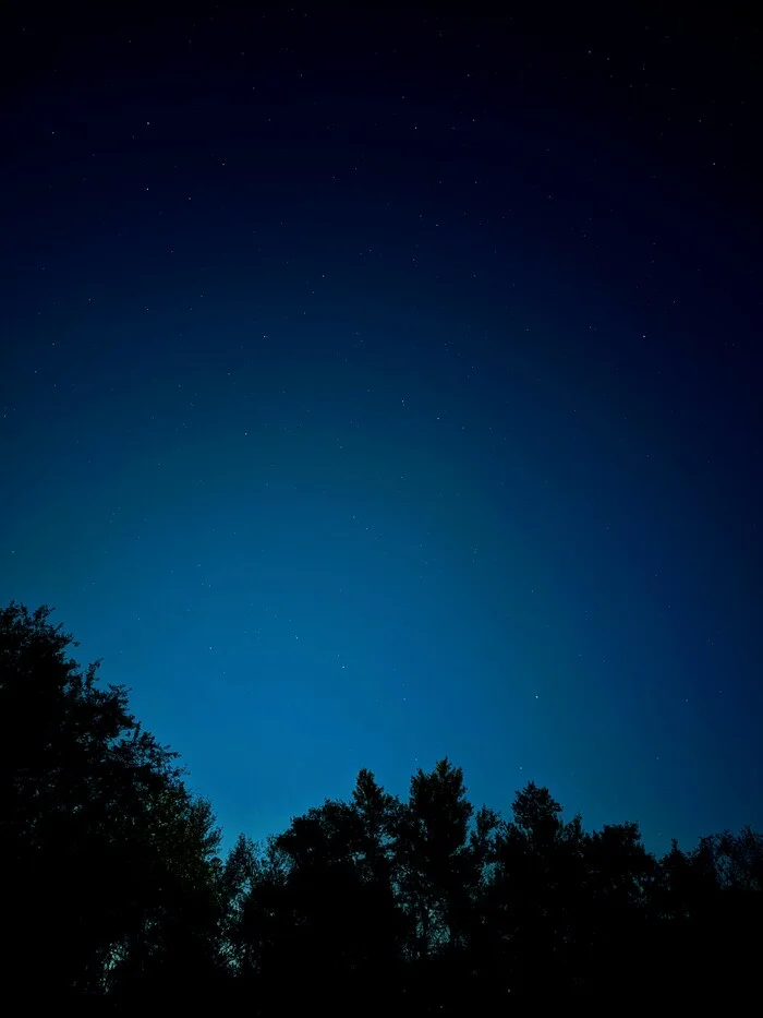 Night - My, Night, Sky, Constellations, Mobile photography, Big Dipper, Astrophoto, Longpost