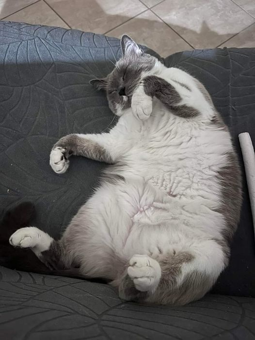 Спокойной ночи!