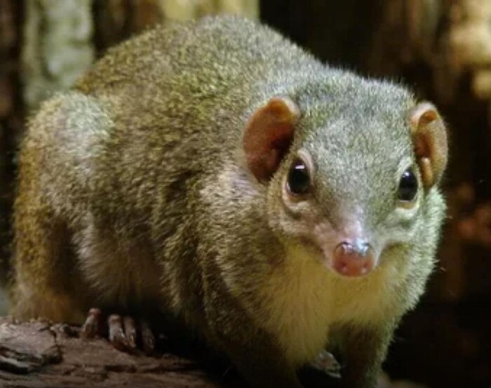 Юго-Восточнай Азия