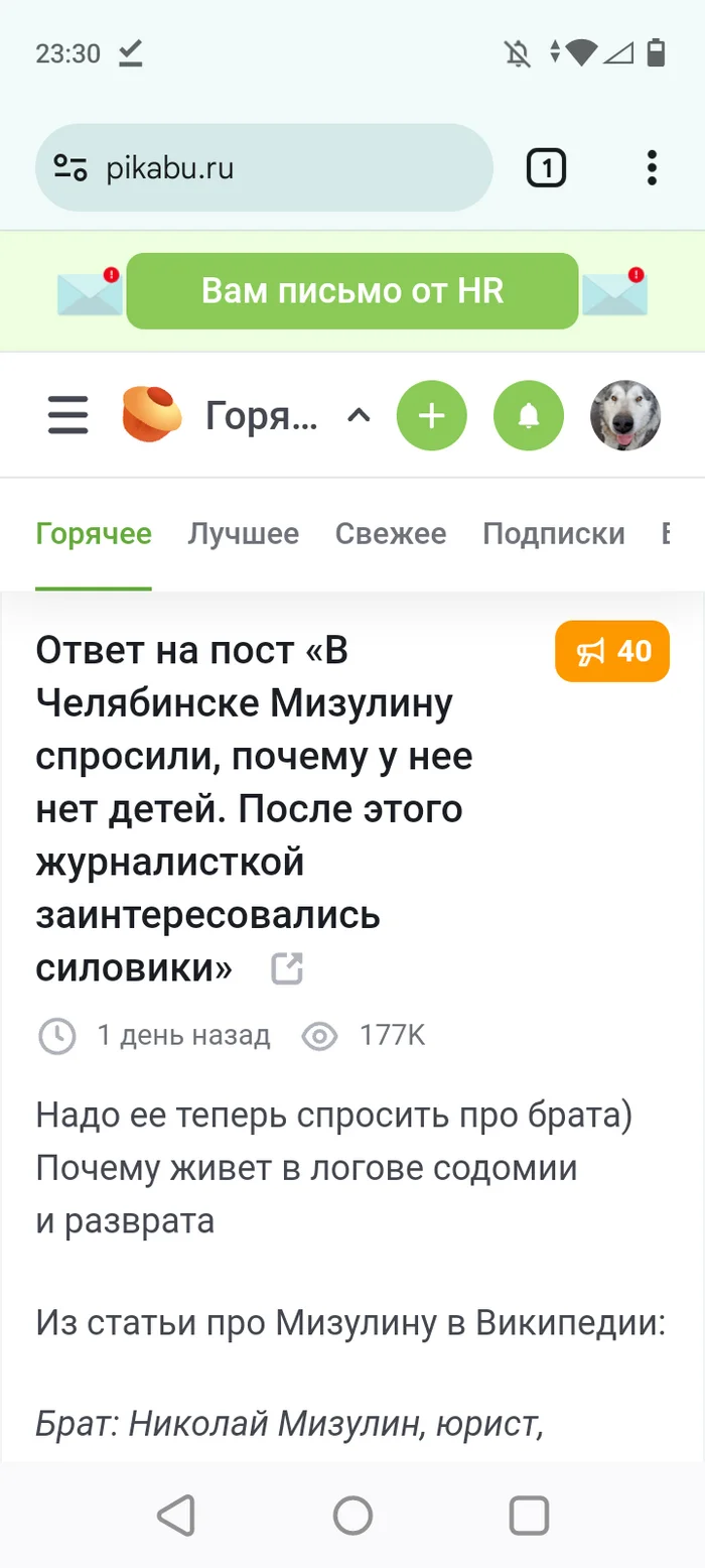 Ответ на пост в Челябинске спросили у Мизулиной... Вот по горло уже сидит эта шляпа теплая - Моё, Надоело, Бесит, Идиотизм, Негодование, Мат, Длиннопост, Тупость, Злость, Глупость