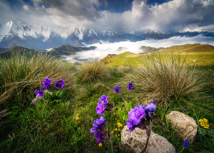 SONY ILCE-7RM3 Lens FE 12-24mm F4 G Focal length 12.0 mm Aperture 13.0 Exposure1/125 ISO 