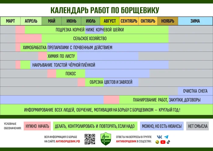 Календарь работ по борщевику - Моё, Борщевик, Антиборщевик, Календарь, Экология, Природа России