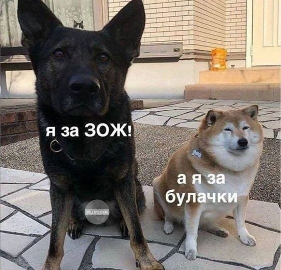 На чьей стороне ты?