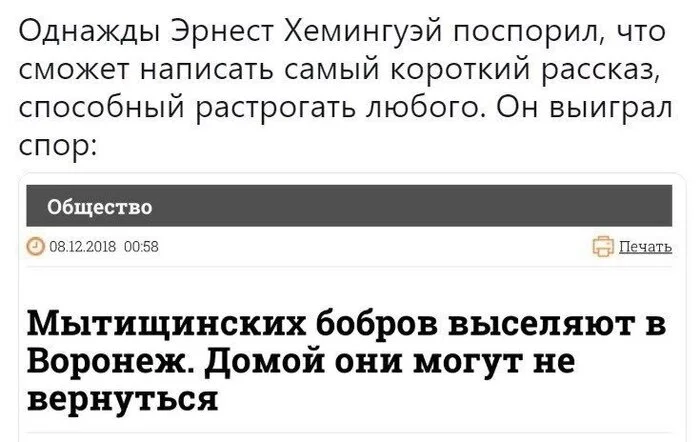 Печальная история... - Юмор, Эрнест Хемингуэй, Бобры, Повтор, Бобр курва, Скриншот