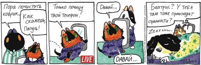 Koteikiny News from 05.10.2024 - My, Translation, Comics, Koteikin news (comic), cat