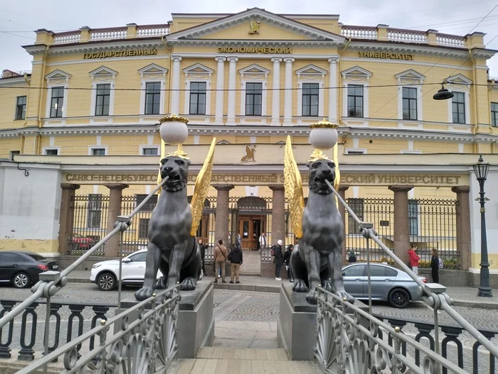 Saint Petersburg. Lion Bridge - My, Saint Petersburg, Lion Bridge, The photo, Mobile photography, Oppo, Bank Bridge