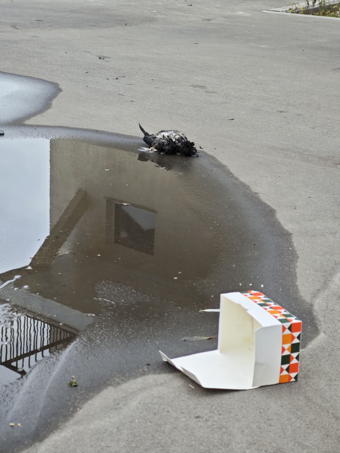 ������ � �����