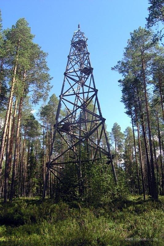 1988. Riding All-Terrain Vehicles, Part 4 - My, Geology, Geologists, Geodesy, Geophysics, geophysicists, Arkhangelsk region, Swamp, Summer practise, Students, Memories, 80-е, Life stories, Longpost