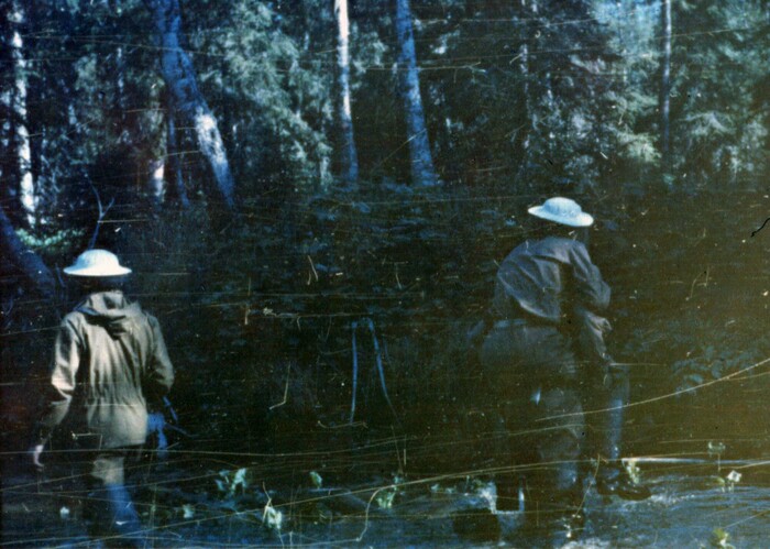  ,    -   .           .   ?