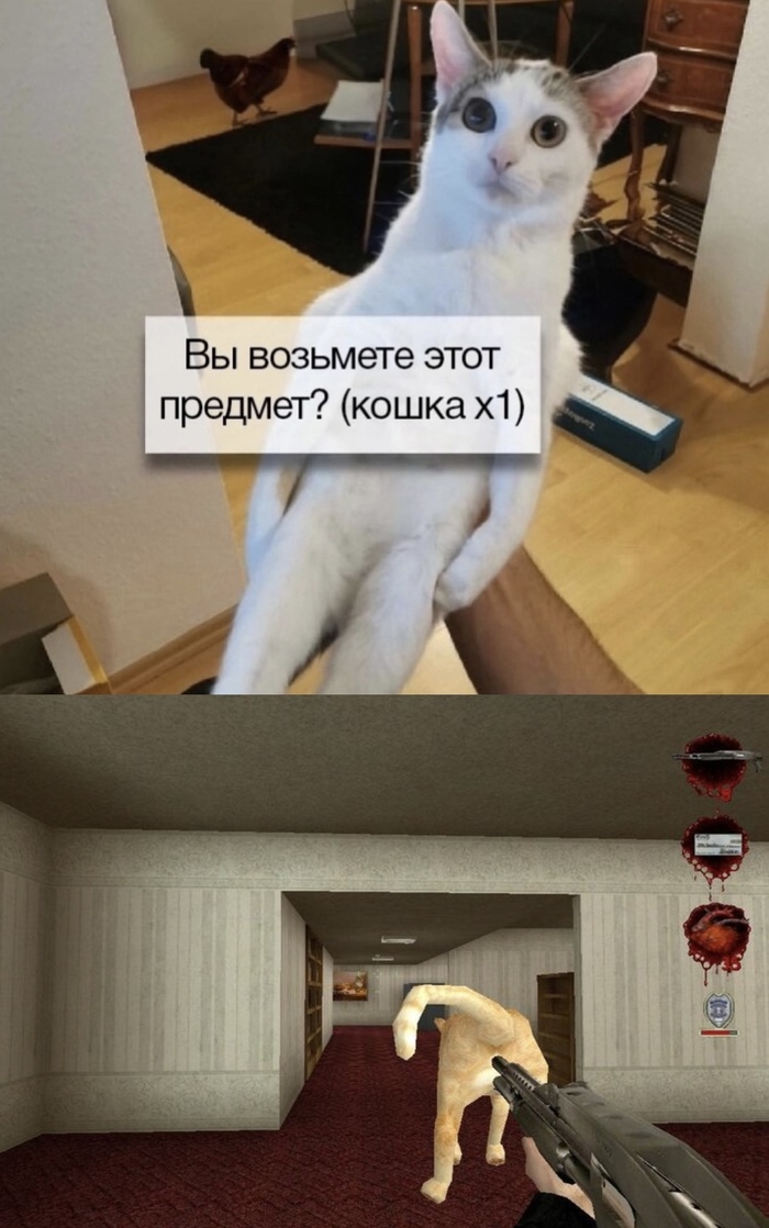 ���� ��� �����, ��� ������ ����� ���� Postal