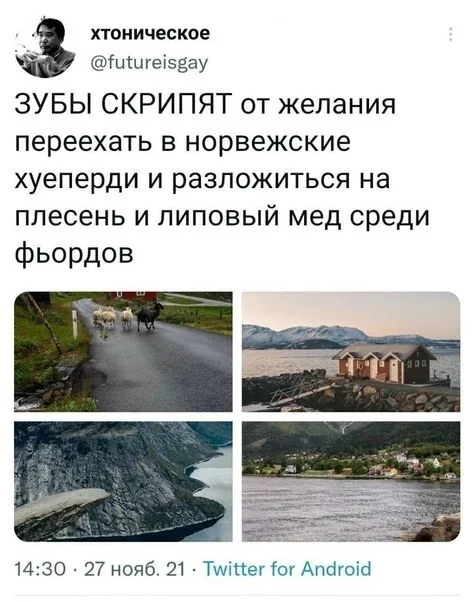 Не так уж плохо - Скриншот, Twitter, Юмор, Мат, Норвегия