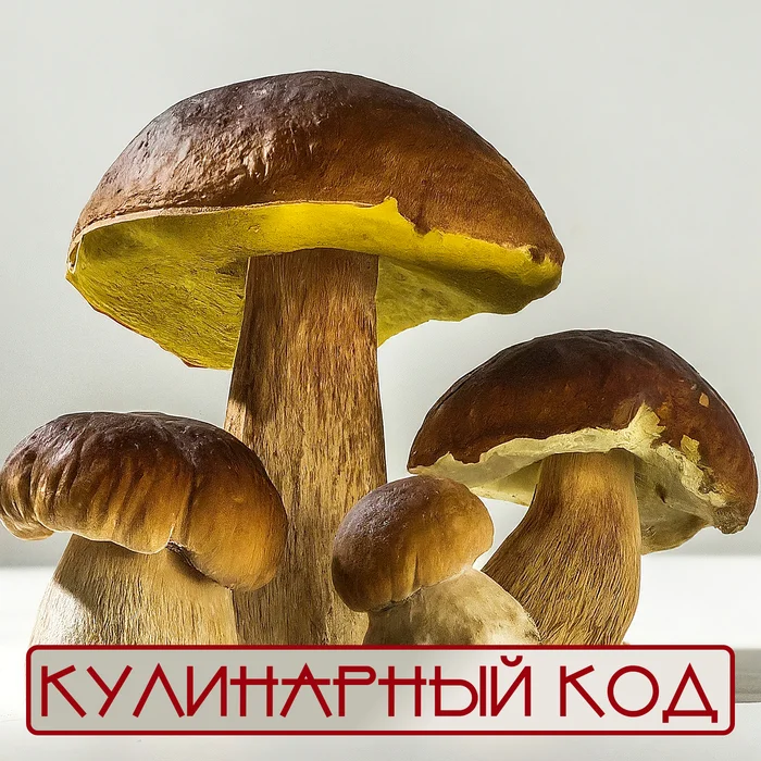 Culinary code. Mushrooms: White mushroom - My, Cooking, Food, Nutrition, Products, Mushrooms, Porcini, Longpost