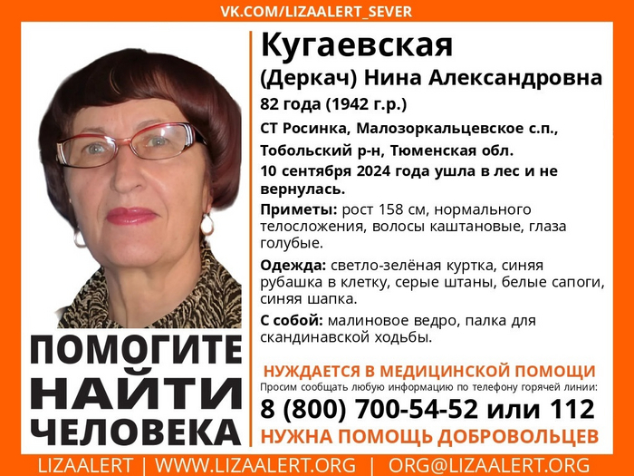 Continuation of the post Missing in Tyumen and Tyumen Oblast - My, Lisa Alert, Missing, People search, No rating, Tyumen region, Longpost, Reply to post