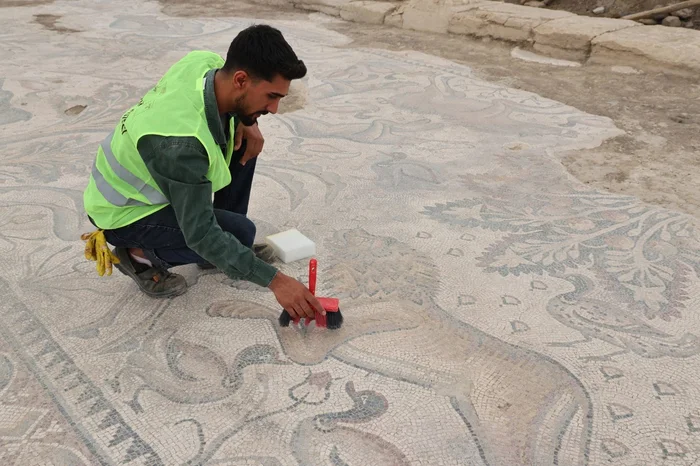 God gives you a lawn, and you'll get a mosaic: Turkish farmer discovers unique Roman mosaic - My, Archeology, Nauchpop, Ancient artifacts, Scientists, Turkey, Longpost