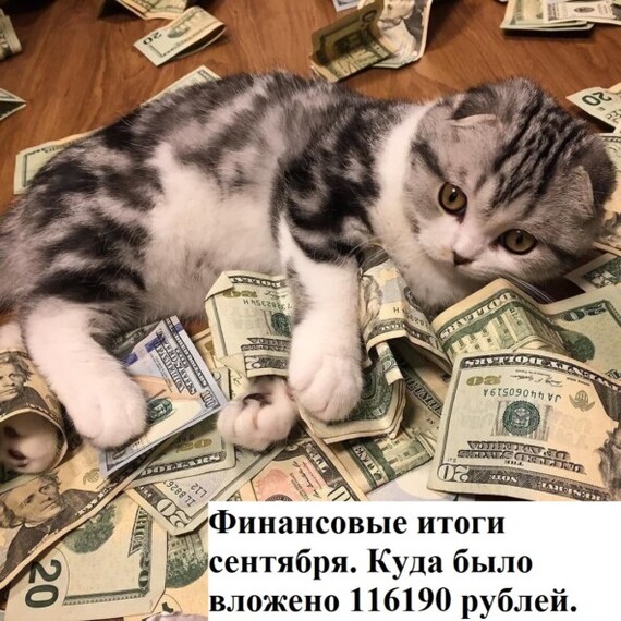 Финансовые итоги Сентября. Куда было вложено 116190 рублей