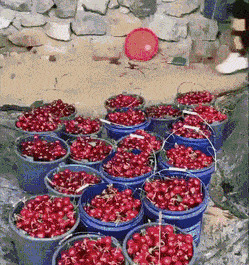      , , , 