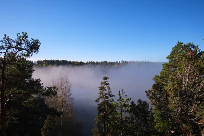 Fog on Lake Yastrebinoe - My, The photo, Nature, Fog, Sky, Forest, Tourism, Beautiful view, Lake, Longpost