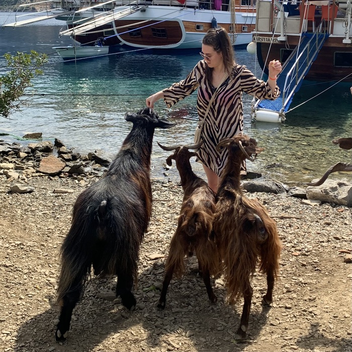 ��� ��������: ���� ��������! � ���� ���� � �����? - �� �������