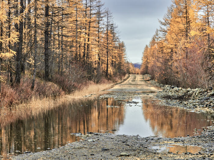 My beautiful Kolyma - My, Kolyma, Landscape, Longpost, The sun, Berries, Blueberry, Autumn