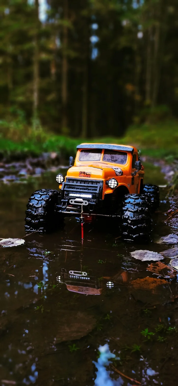 RGT Challenger 4x4 Autumn Forest - My, Radio controlled models, The photo, Travels, Longpost