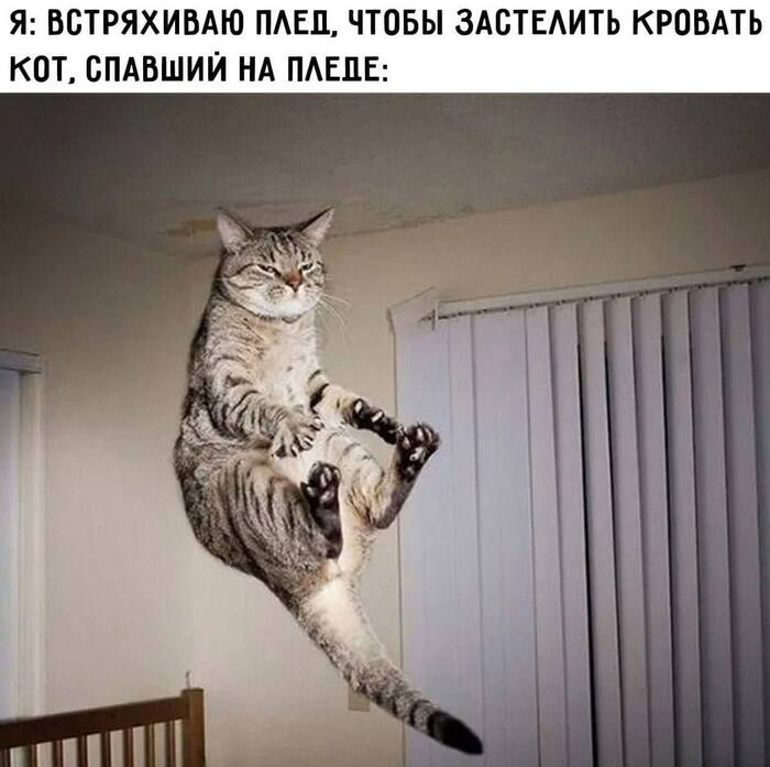 Вот  затихарится иногда, что даже не заметишь