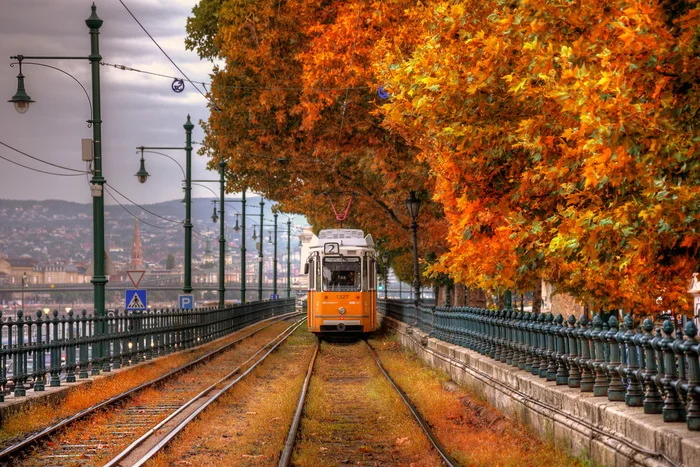 Autumn tram - Tram, Autumn, Leaf fall, The photo, Budapest