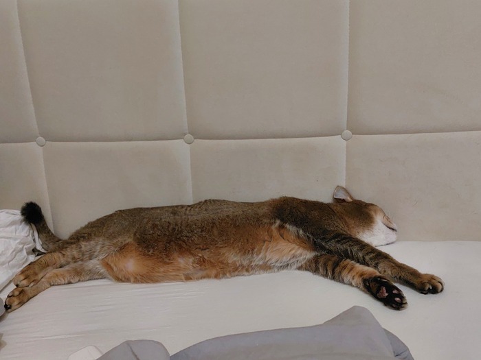 �������� �����?)