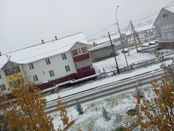 It's time to hibernate - Weather, Snow, Tyumen, North, First snow, The photo