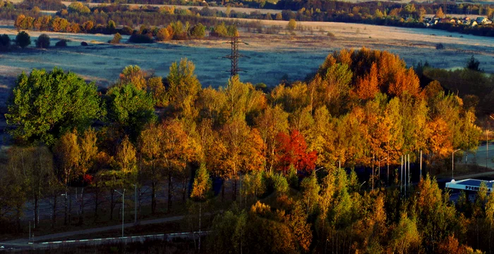 Утро после рассвета - Моё, Фотография, Пейзаж, Осень, Поле, Дерево, Туман, Утро, Рассвет