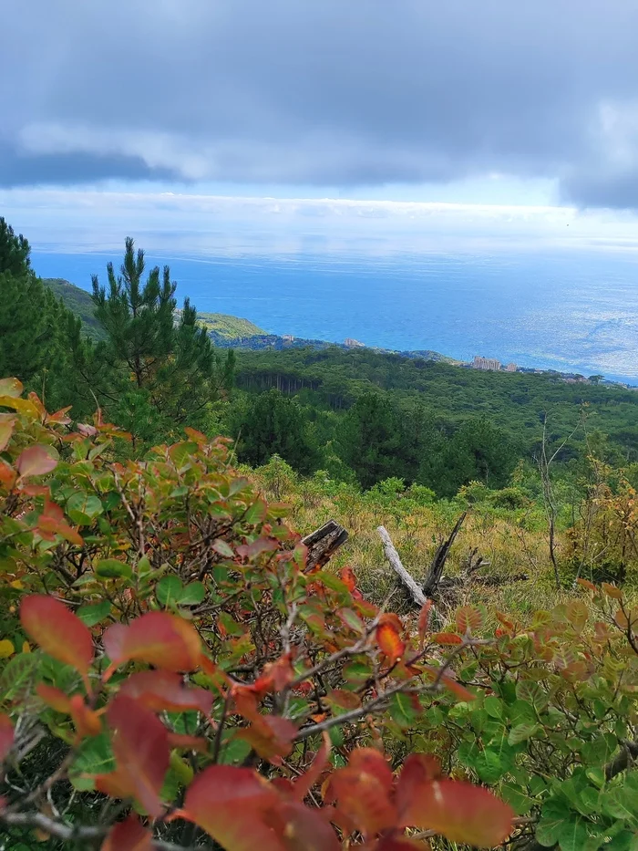 Осень в Крыму - Моё, Фотография, Крым, Природа