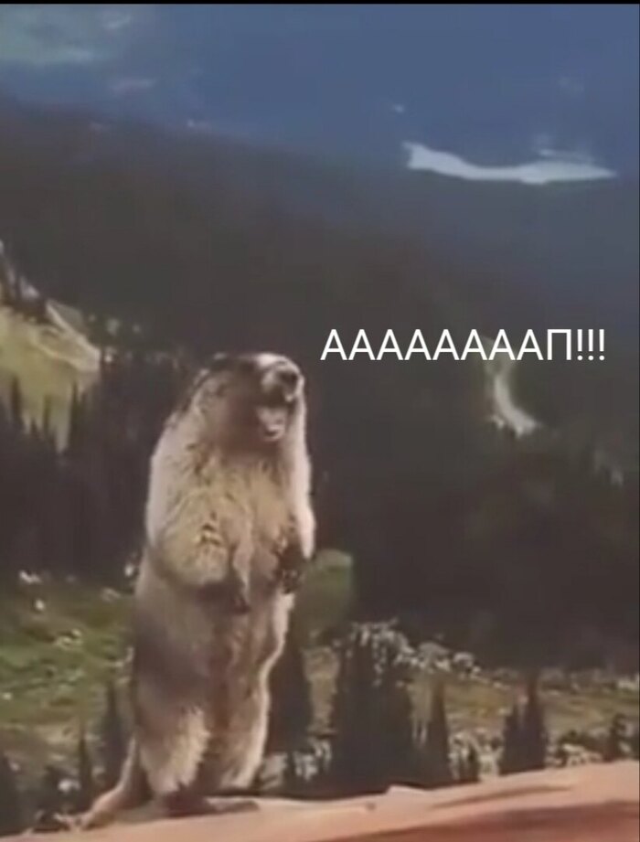 Вот так орёт всё внутри