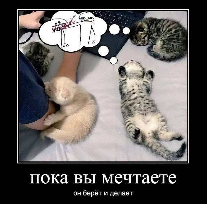 Motivational - Humor, Memes, Picture with text, Kittens, Demotivator, Dream, Telegram (link)