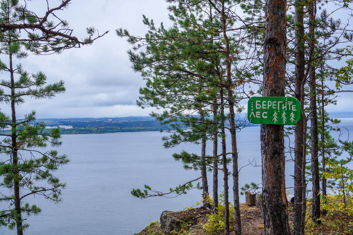 ������ ��� (��������������� �����) - ��� �� "���������", "�������� ����", "��������� ����".