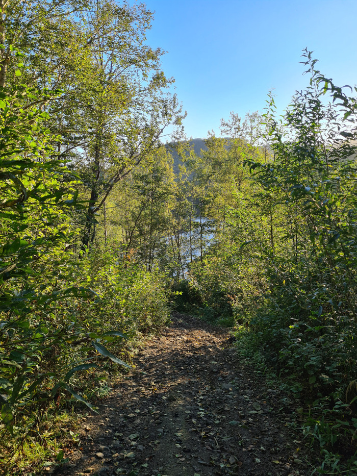 Сасунг честно цвета передаёт