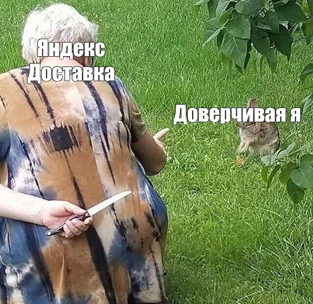 Сумка, или Туда и обратно с Яндекс Доставкой - Моё, Служба поддержки, Жалоба, Яндекс, Доставка, Длиннопост