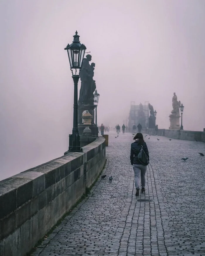 Bridges, trams, bridges, trams... Walking in autumn, breathing... - Telegram (link), Thoughts, Observation, Images, Town, Longpost