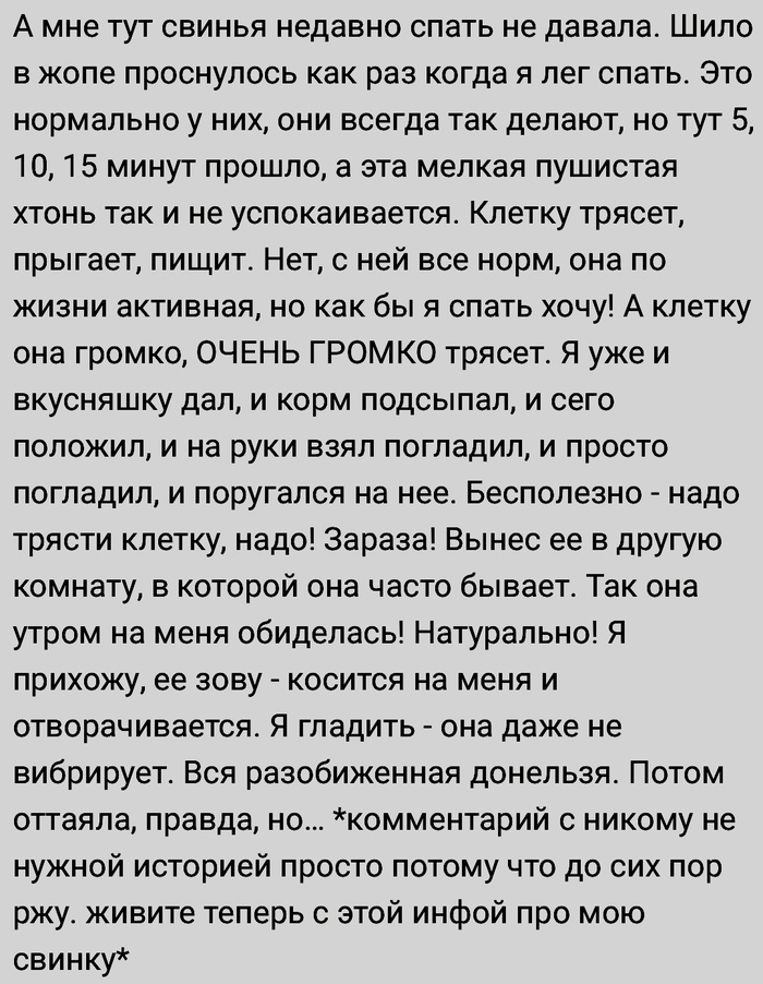 Обидел свинку