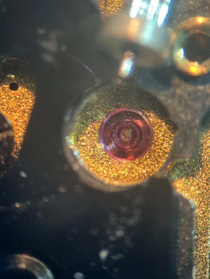 Один из бушонов с мелкой грязью