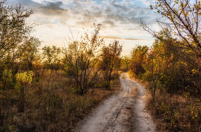 Autumn road... - My, The photo, Nikon, Nature, Landscape, Sunset, Road, Autumn, Beautiful view