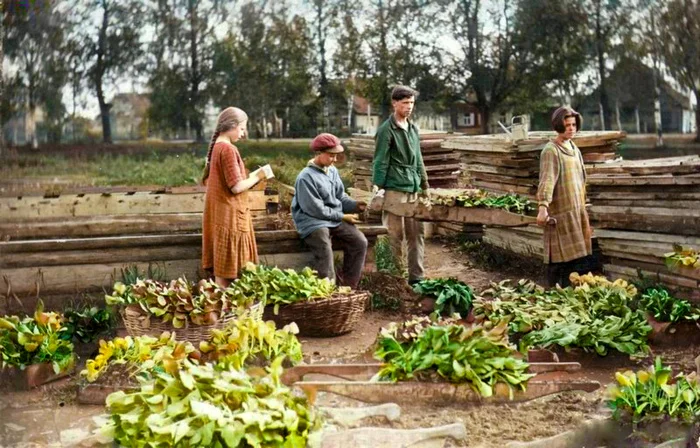 Петроград — Ленинград. Жизнь и быт Северной столицы в 1920-е годы. 20 раскрашенных фотографий. Часть 2 Историческое фото, Старое фото, История города, Фотография, Колоризация, Ленинград, Санкт-Петербург, Петроград, 1920-е, Длиннопост