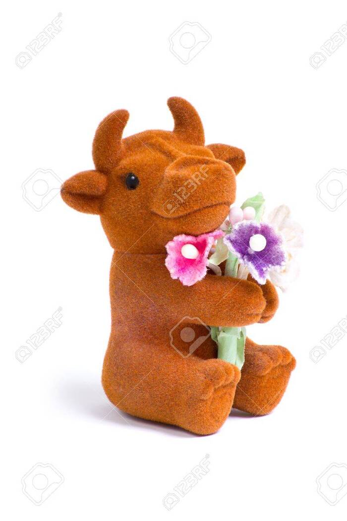 Looking for a soft toy - Cow with flowers - Search, Help me find, Toys, Longpost