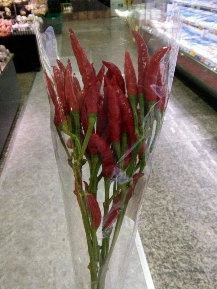 Flowers for ex on March 8 - My, Humor, March 8 - International Women's Day, Flowers, Hot peppers, Former