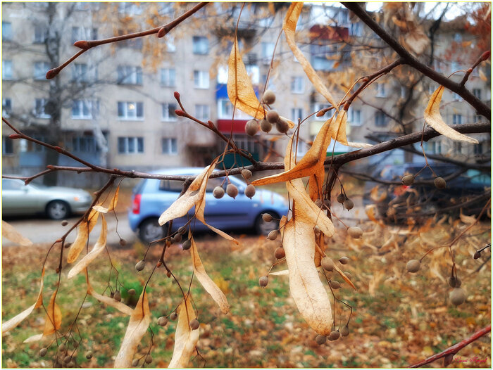 Осенняя пора