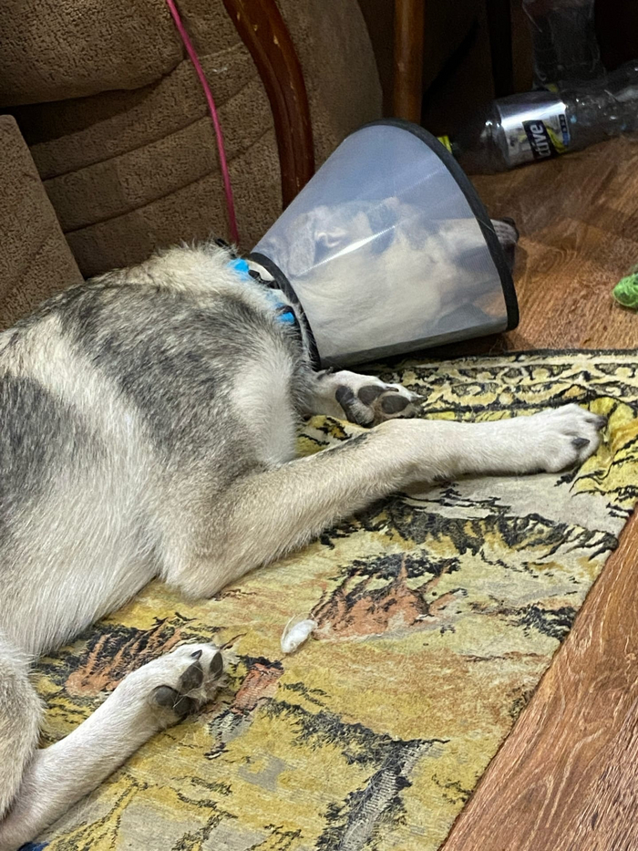 Тут мы приходим в себя первые дни аллергии.