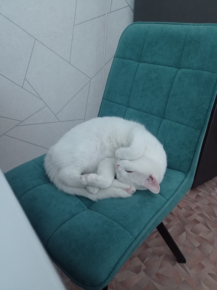     , , ,  ,   